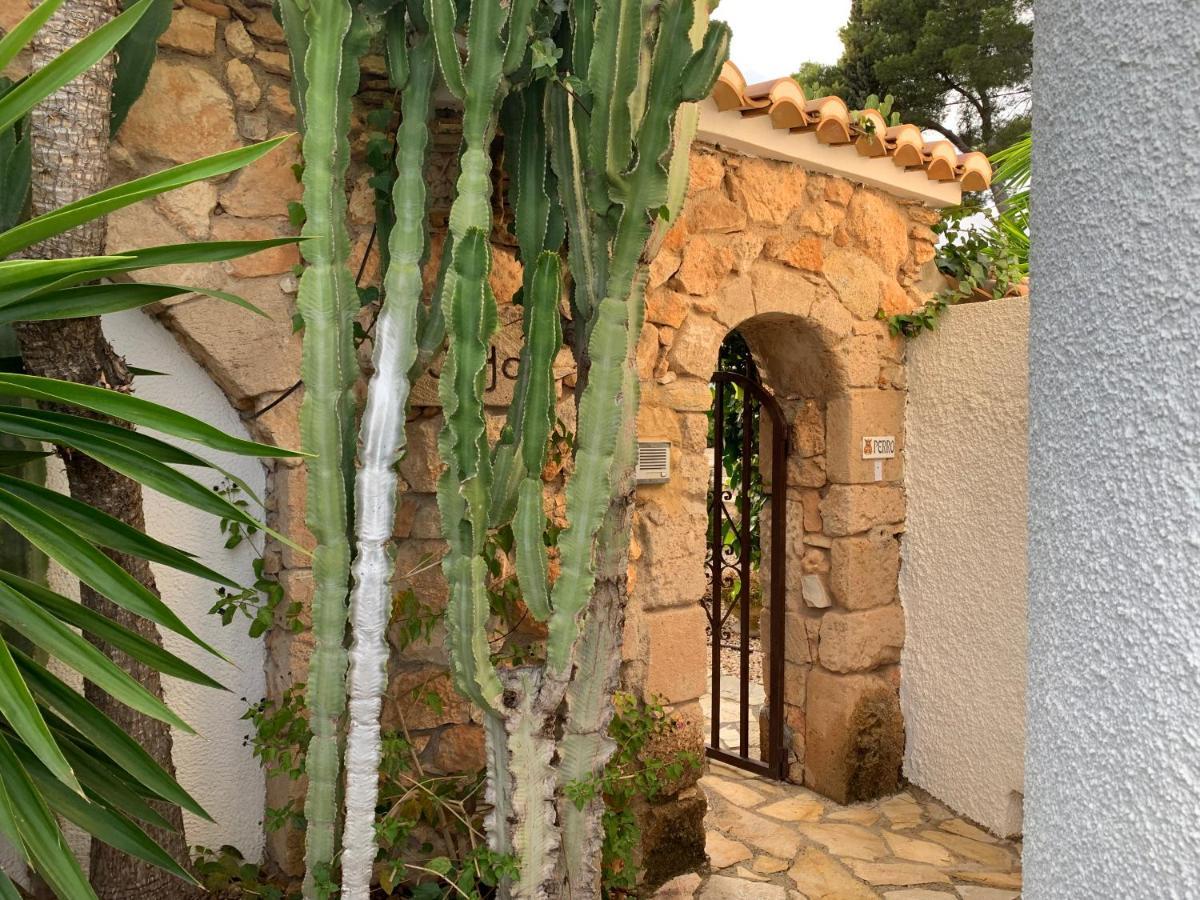 Bonito Apartamento Villa Joya 贝尼萨 外观 照片